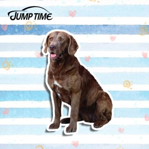 Jump Time 13cm x 8.8cm 3D Car Stickers Waterproof For Chesapeake Bay Retriever Pet Dog Vinyl Car Decals Bumper Window Laptop