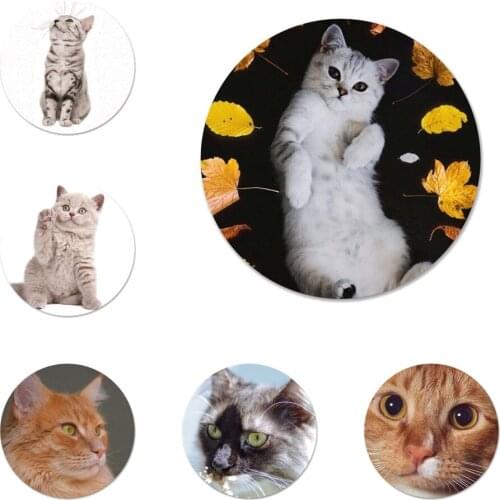Lovely Cat Icons Pins Badge Decoration Brooches Metal Badges For Clothes Backpack Decoration 58mm