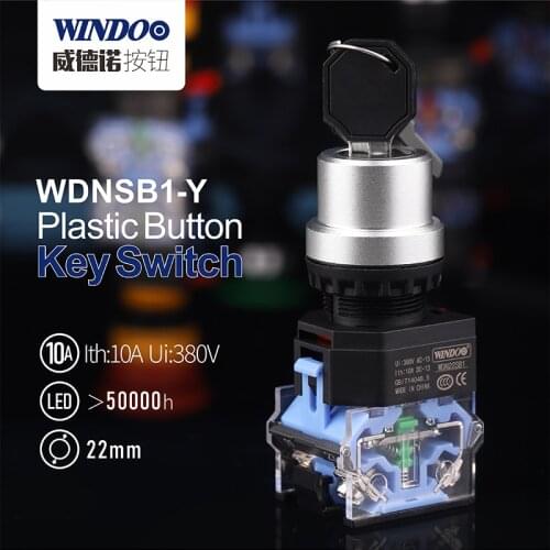 WDNSB1-Y 22mm Knob plastic push button switch