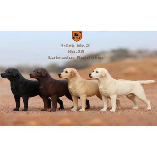 Mr.Z MCCToys 1:6 Scale NO.25 Labrador Retriever Dog Toys 001/002/004 For 12'' Action Figure DIY Accessory