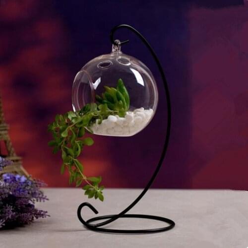 12sets/pack Diameter=10cm Transparent Glass Terrarium Vase Home Decorative Handmade Hydroponic Plant Hanging DIY Glass Gift