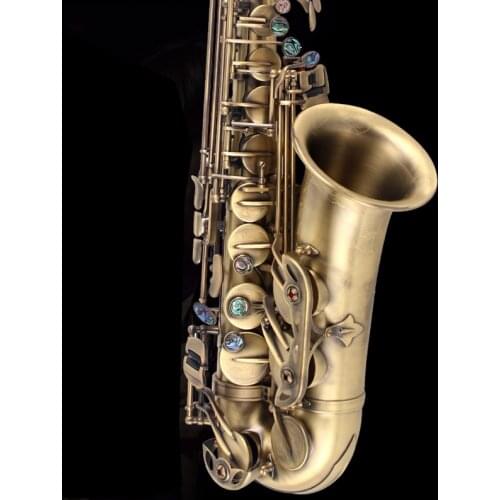 Professional Alto Saxophone NAIPUTESI NT- 802 Key Vintage Bronze [Double Reinforcement] Alto Sax Brass Body with Accessories