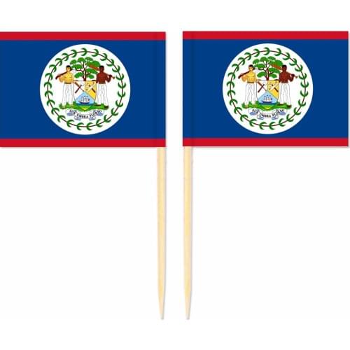 Belize Toothpick Flag 3.5X2.5CM Cake Topper Party Cupcake Wedding Baby Shower Supplies Lovely Baking Dessert Decorations