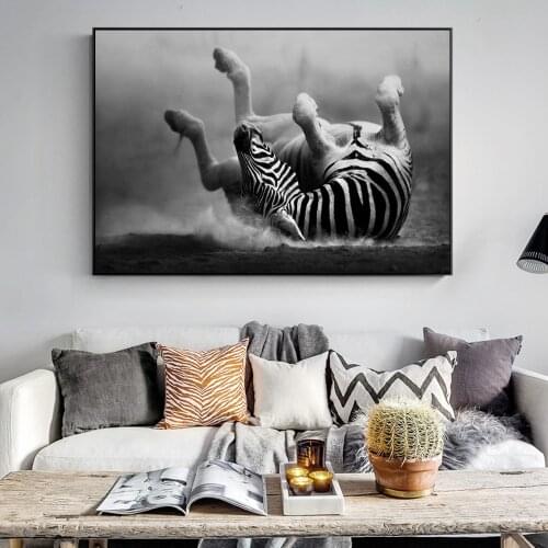 Zebra Wall Art Canvas Prints Modern Animals Canvas Art Paintings On The Wall Black And White Zebra Rolling In The Dust Pictures