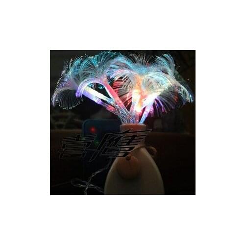 10LED 2.5M orning Glory Fiber Optic Battery LED String Strip Night Light Lamp Party Holiday CHRISTMAS WEDDING Curtain LED Light