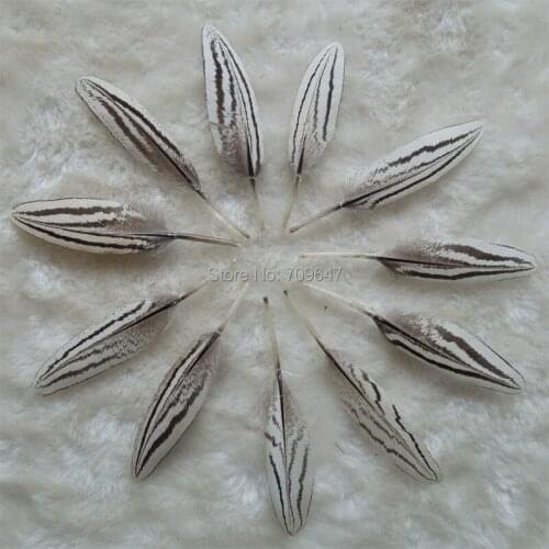 30pcs/lot!5-8cm Small Feathers,NATURAL Silver Pheasant Small Quill Feathers,Craft White&black Feather Quills for Accessories