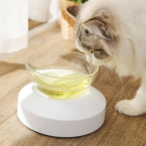 Hot Nonslip Transparent Plastic Cat Bowl With Raised Stand Adjustable Angle Pet Bowl For Dog Feeding And Drinking Pet Supplies
