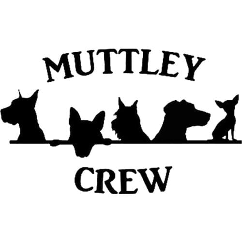 16*9.7cm Mutt Crew Vinyl Sticker Be Different Car Accessories Motorcycle Helmet Car Styling Car Sticker
