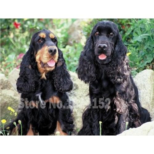 DIY 5D Square Diamond Painting Cross Stitch Kits British cocker spaniel Diamond Mosaic Handmade Diamond Embroidery dog Patterns