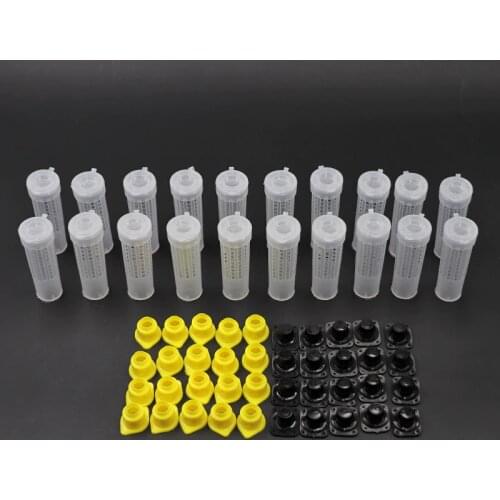 10/20Pcs Queen Bee Cages Protective Rearing Cups Cover Catcher Queen Bee Cells Box Cages Bees Tool Abelhas Apiculture Equipement