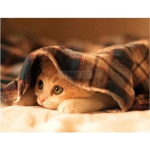 Canvas Size 5D Diy Diamond Painting Cross Stitch Kit Diamond Mosaic Embroidery " Landscape " Painting Square/Round Drill Gift