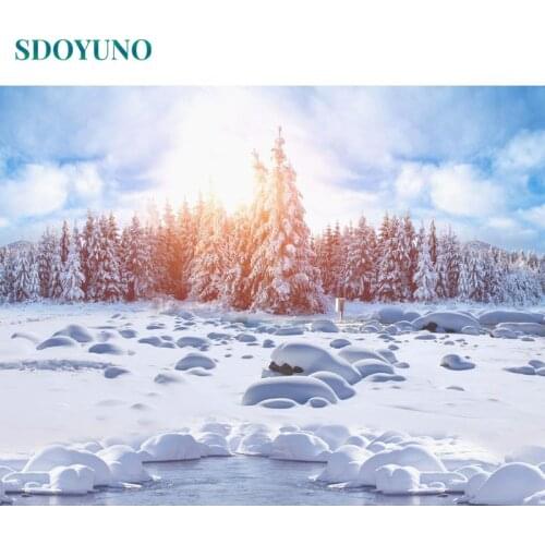 SDOYUNO Oil Paint By Numbers Snow Scenery DIY 60x75cm Painting By Numbers On Canvas Coloring Number Frameless Hand Painting