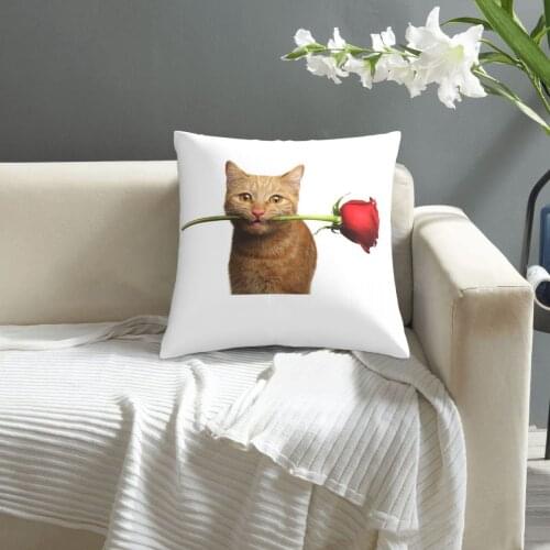 Portrait Of Ginger Cat Brought Rose pillowcase printed cushion cover sofa waist pillow pillow cover