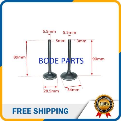 PIT Bike Intake Valve Exhaust Valves for Zongshen 250cc CB250cc ATV Go Kart, Moped & Scooter GT-178