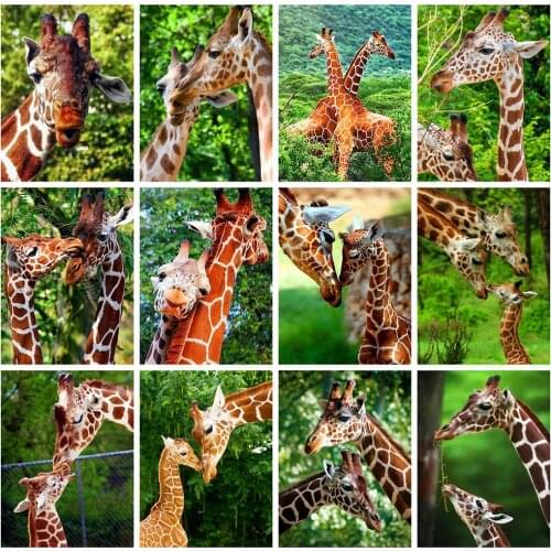 HUACAN 5D Diamond Painting Full Round Square Animal Diamond Embroidery Sale Giraffe Pictures Of Rhinestones Mosaic Wall Art