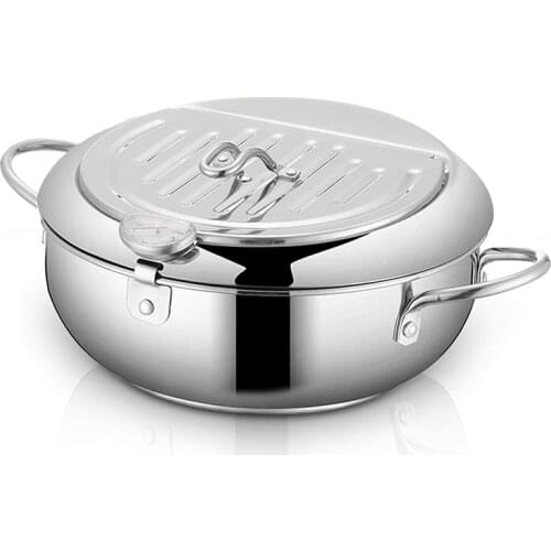 Tempura Deep Fryer,2.2L Mini 304 Stainless Steel Frying Pot Pan,with Temperature Control and Oil Filter Rack Lid 8.0Inch