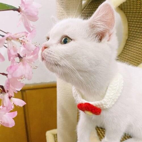 Fashion Pet Cat Collar Hand Knitting Kitten Wool Necklace Cute Flower Cats Collars Home Pets Supplies