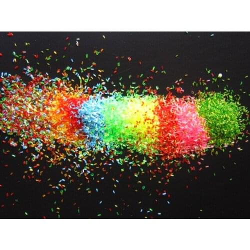 New arrived Colorful Iridescent Glitter for Nail Art Resin Craft Phone case Decorate
