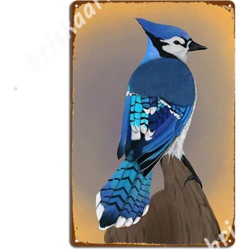 Bluejay Metal Signs Club Bar Wall Plaque Cinema Kitchen Retro Tin sign Posters