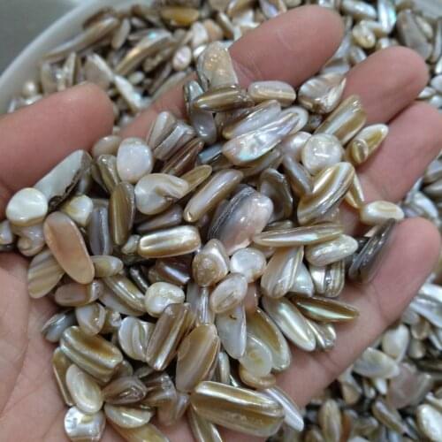 Natural Beach Shells - Home Decor Seashells Wedding Display Craft Aquarium Sea