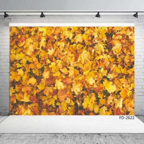 Fallen Leaves Wall Leaf Board Backdrop Baby Shower Newborn Wedding Photography Background Photophone Photozone Photo Studio Prop