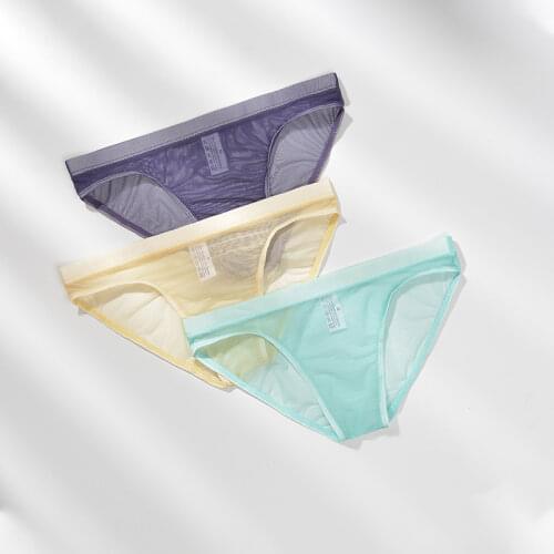Fashion Mens Low Rise Underwear Briefs Sexy Breathable Mens Panties See Through Man Gay Mesh Transparent Ultra-Thin Underpants