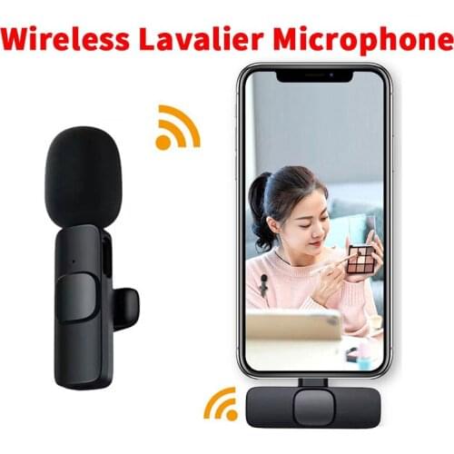 Jiegailisi Microphones