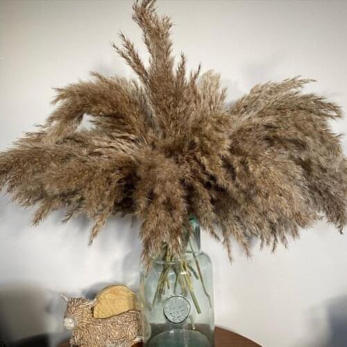 Reed Bulrush Pampas Grass Dried Artificial Flowers Bunch Feather Flowers Natural Phragmites Plants Home Wedding Decor