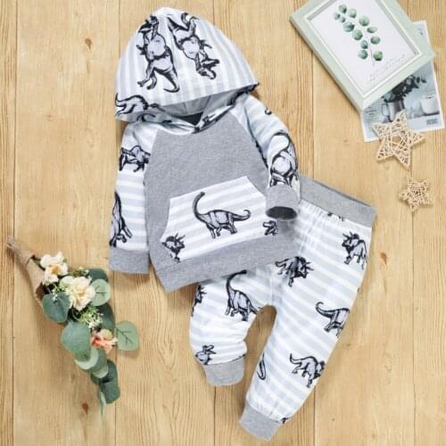 2Pcs Little Boys Outfit, Toddlers Leisure Style Cartoon Dinosaur Printing Long Sleeve Hooded Tops + Long Pants Set Autumn