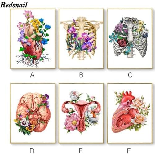 Organ Brain Heart Anatomy Art Diamond Embroidery DIY Diamond painting Abstract Flower Plant 5D mosaic Doctor Office Decor EE981