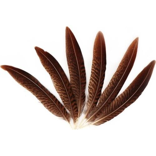 Hot Sale 100pcs/lot Beautiful Pheasant Feathers 15-20cm 6-8inch Celebration Diy Jewelry DIY Feathers for Crafts