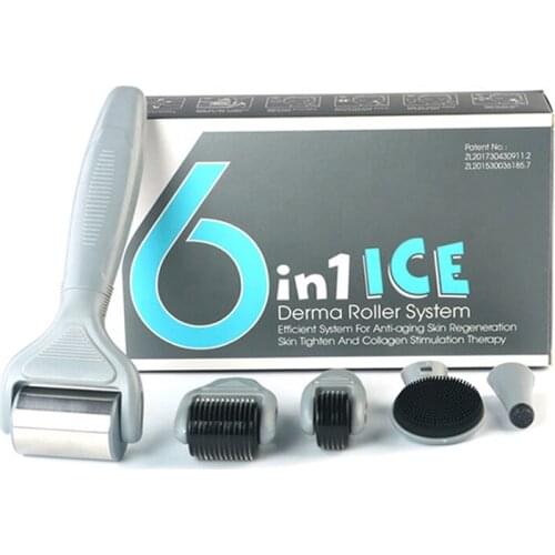 New Arrival 6 in 1 Derma Roller Set Derma Rolling System With Ice Roller 12 300 720 Stainless Steel Microneedle Therapy DRS