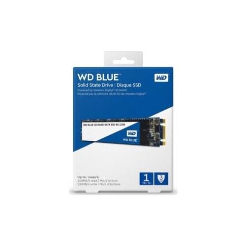 WD Blue WDS100T2B0B 1 TB M.2 Sata SSD