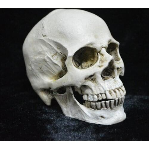 Funny Halloween Event Party Holiday DIY Decoration Terror Spoof Creative Mini Separable Resin Skull Model Festive Party Supplies
