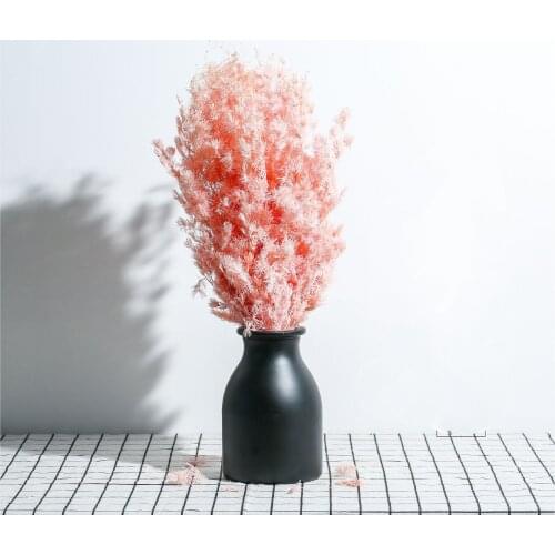 Home 40-60cm natural Dried Fleur Eternelle Plant Asparagus Myriocladus,Preserved Flowers Penglai Pine For Christmas Decorations