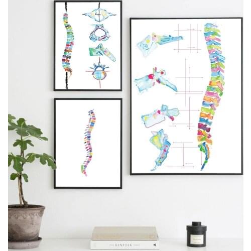 Spine Anatomy Artwork Poster Wall Art Canvas Poster Nordic Painting Wall Picture for Chiropractic Wall Art Office Decor