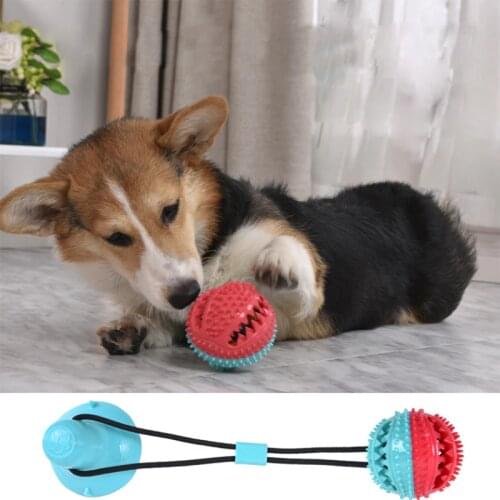 Pet Molar Bite Sucker Dog Toys Rubber Chew Ball Cleaning Teeth Bell Safe Elasticity TPR Soft Puppy Suction Cup Biting Dog Toy