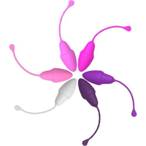 Medical Silicone 6 Pcs Kegel Weighted Exercise Balls Pelvic Vagina Tightening Ben Wa Balls Set for Women