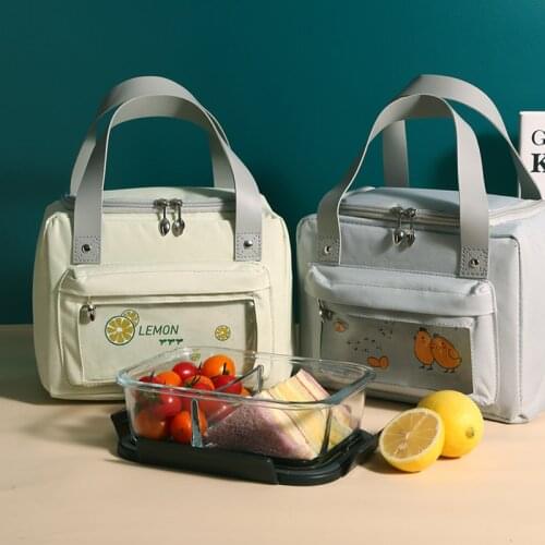 Kawaii Lunch Bag For Women Large Waterproof Storage Bag Lunch Box Concise Portable Thermal Breakfast Box Picnic Travel WY254