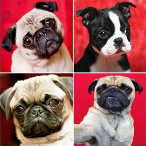 MomoArt 5D DIY Diamond Painting Dog Full Square Diamond Embroidery Animal Cross Stitch Rhinestone Picture Christmas Decorations