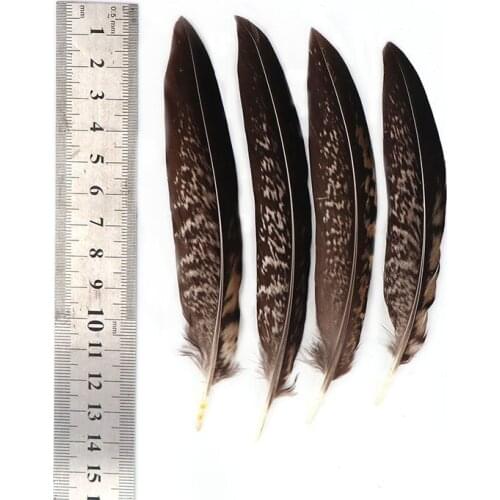 New 100pcs/lot Lady Amherst Pheasant Tail feathers 10-15cm 4-6inch Party Home Jewelry Accessories DIY plumes