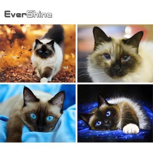 Evershine 5D Diamond Painting Cat Cross Stitch Animals Full Square Drill Mosaic Embroidery Painting Rhinestones Home Decoration