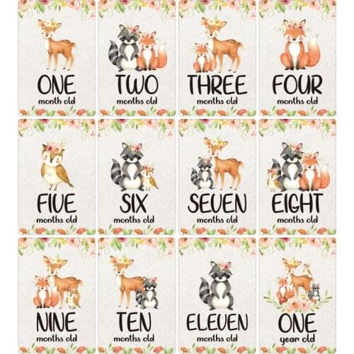 12 Pcs Month Sticker Baby Photography Milestone Memorial Monthly Newborn Kids Commemorative Card Number Photo Props
