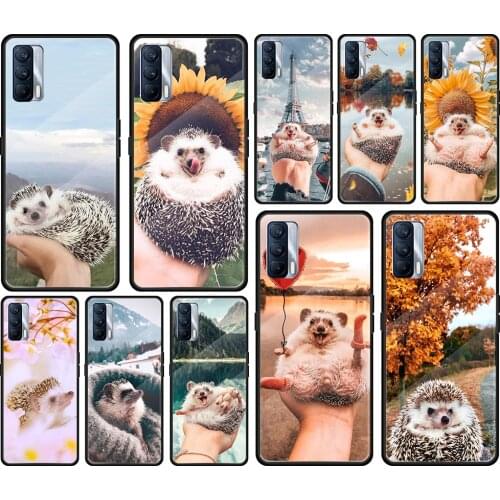 Cute Hedgehog Outing Tempered Glass Cover For Realme 7 7i XT C3 6 5 Pro for OPPO A9 2020 A52 Find X2 Lite Phone Case