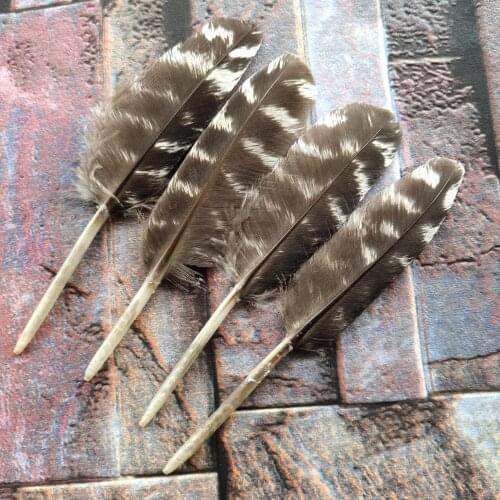 Wholesale Hot 500pcs High Quality 6-10 cm Natural Wild Turkey Wings Feathers For DIY Jewelry Christmas Home Decoration