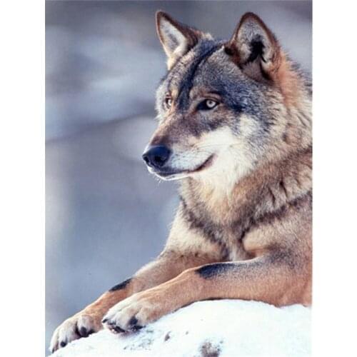 Wolf Animals Winter DIY Cross Stitch 11CT Embroidery Kits Craft Needlework Set Printed Canvas Cotton Thread Home Sale