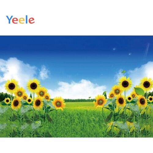 Spring Sunflower Grassland Nature Scene Baby Portrait Backdrop Vinyl Photographic Background For Photo Studio Photophone Shoot