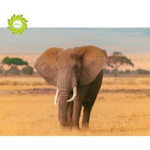 SNA 5D DIY Diamond Painting Full Square Drill "elephant" Embroidery Cross Stitch gift Home Decor Gift