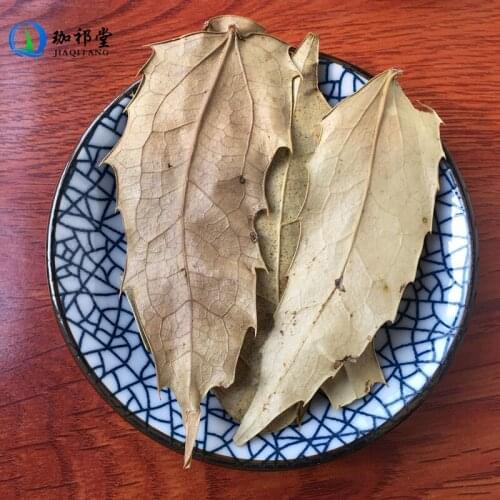 Chinese Mahonia Leaf Mahonia Bealei Shi Da Gong Lao Ye