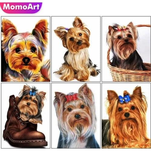 MomoArt 5D DIY Diamond Embroidery Dog Cross Stitch Kits Diamond Painting Animal Picture Of Rhinestone Mosaic Art Home Decoration